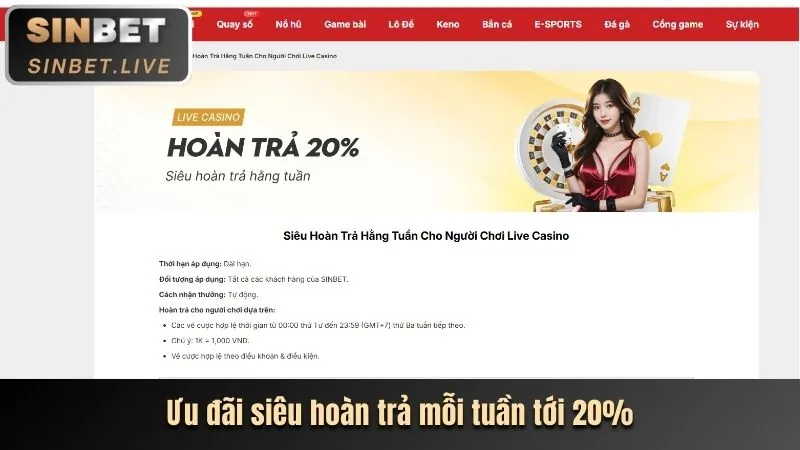 Minh họa các loại cookie khác nhau được sử dụng trên trang web 18win nhà cái